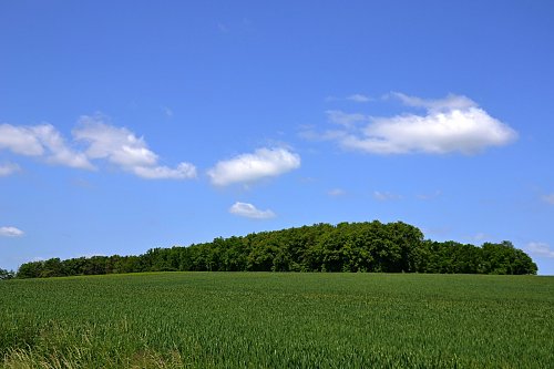 Opatovický vrch