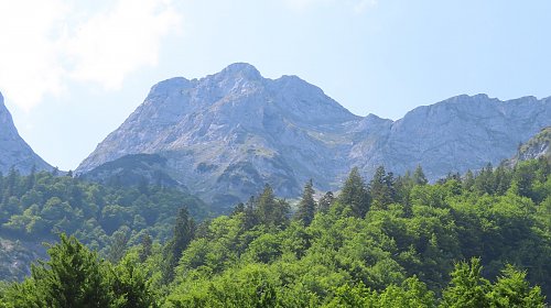 Edelweisskogel