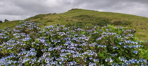 Pico do Ferro