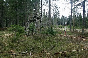 Adam's Mountain