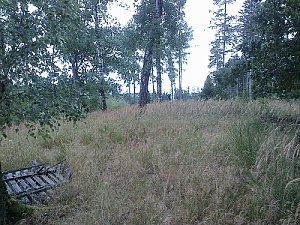 Kopanina