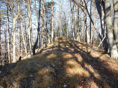 Veľký Smrekovec