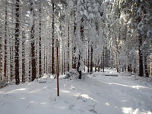 Ľupčianska Magura