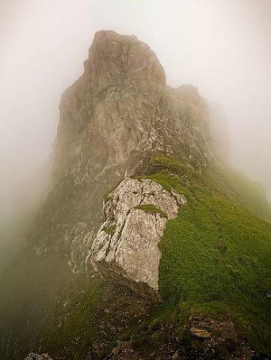 Gorvion