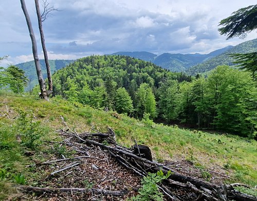 Hunkovie, autor: Rastislav Biarinec