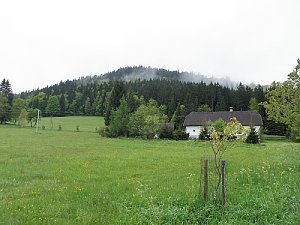 Viewpoint