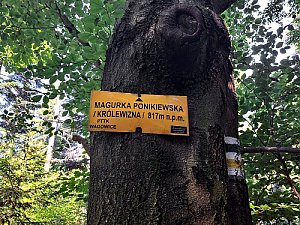 Magurka Ponikiewska