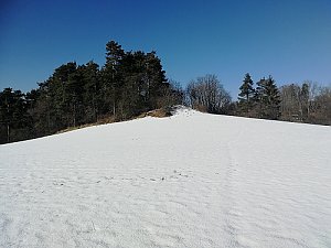 Buchtův kopeček