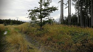 Jelení vrch S