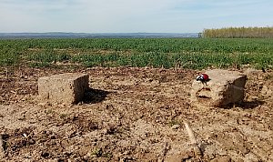 Uherčické staré hory - SZ vrchol