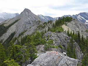 Wasootch Ridge