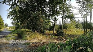 Humenec - S vrchol