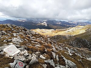 Pašina planina