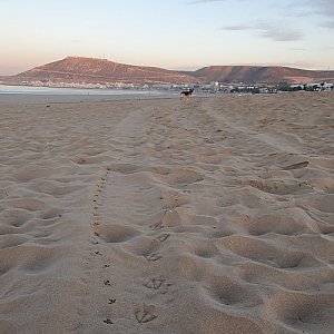 Agadir Oufellah