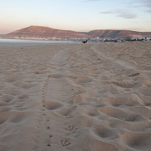 Agadir Oufellah