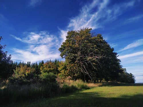 Řísnický vrch , autor: David Horáček, Mapy.cz