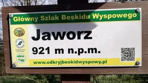 Jaworz