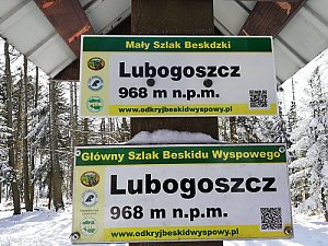 Lubogoszcz