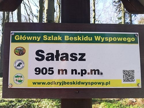 Sałasz