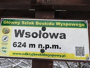 Wsołowa