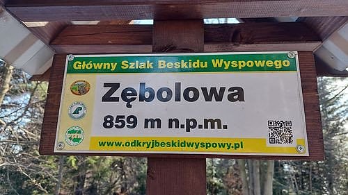 Zębolowa