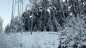 Uhřice - JZ vrchol I