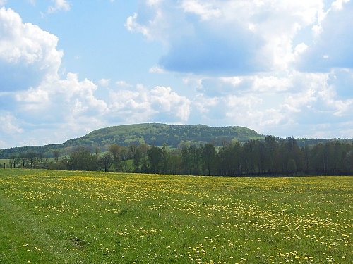 Hrazený