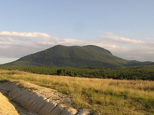 Măgura Codlei