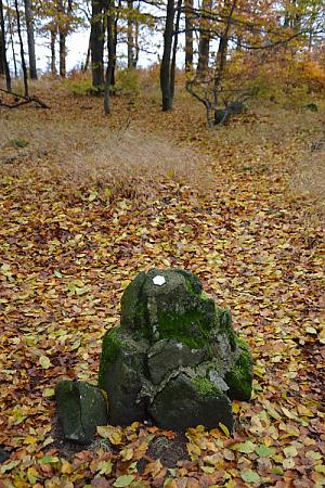 Pěnkavčí vrch