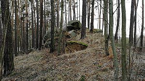 Skalka SZ1
