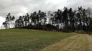 Bukovec S