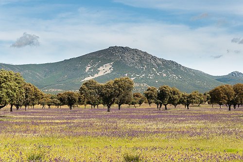 Pico Villuercas