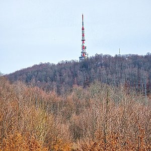 Sveta Gera