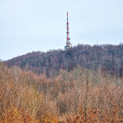 Sveta Gera