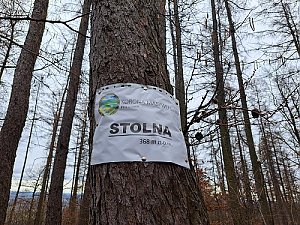 Stolna