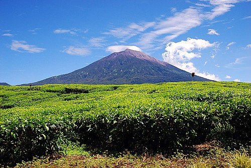 Kerinci, autor: WahyuS, Wikimedia Commons