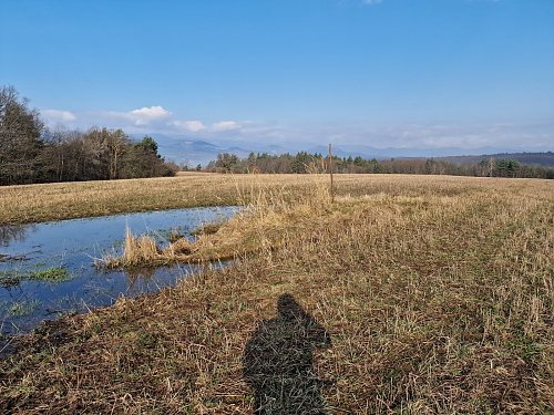 Strelnica, autor: Rastislav Biarinec