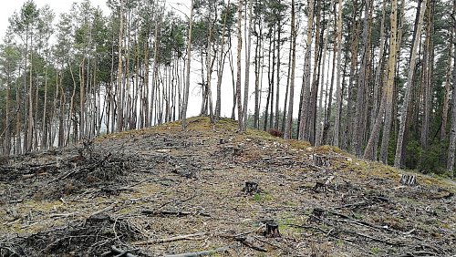 Bezděkov, autor: Vladimír Grančay