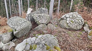 Oldřišský vrch JZ