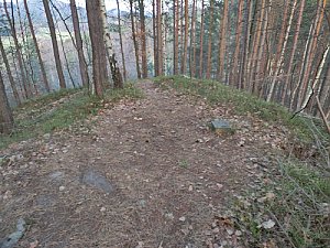 Kalvárie