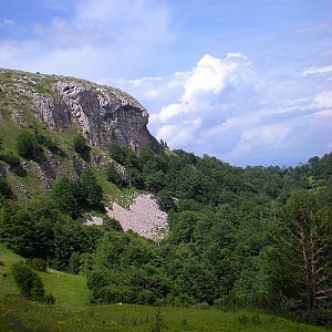 Velika Lelija