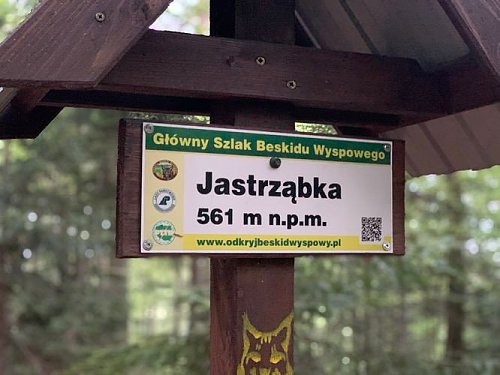 Jastrząbka