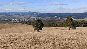Modrenina