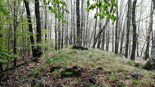 Nad Smědečkem - S vrchol, autor: Vladimír Grančay