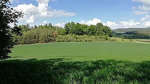 Rojšínský vrch S