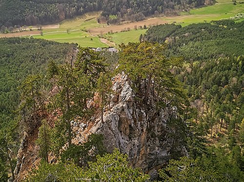 Weningerturm, autor: Jiří Králík 