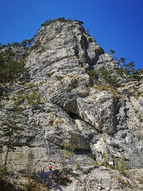 Uccelli turm, autor: Jiří Králík 