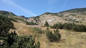 Veliki Vran