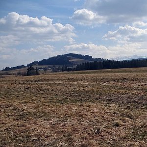 Ostrzysz