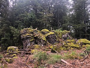 Schönes Moos - JZ III